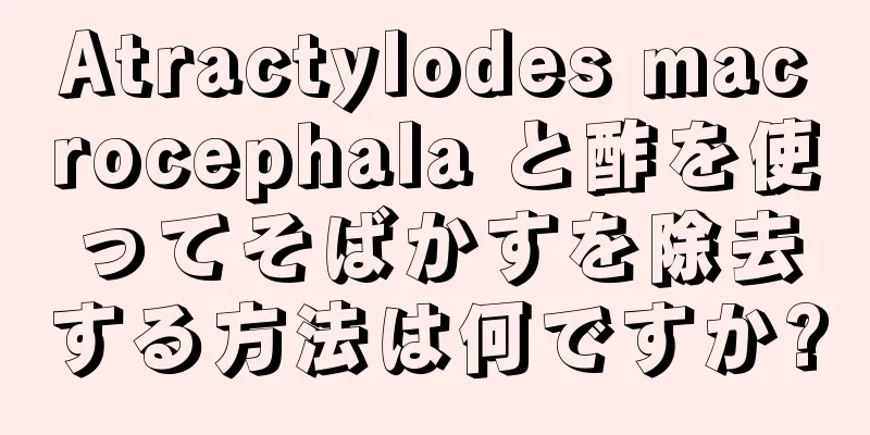 Atractylodes macrocephala と酢を使ってそばかすを除去する方法は何ですか?