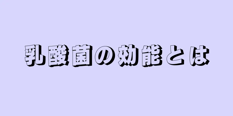 乳酸菌の効能とは
