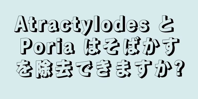 Atractylodes と Poria はそばかすを除去できますか?
