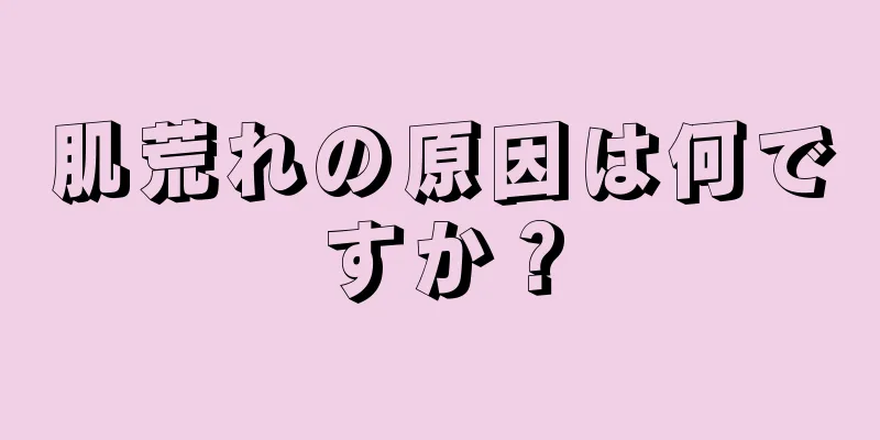 肌荒れの原因は何ですか？