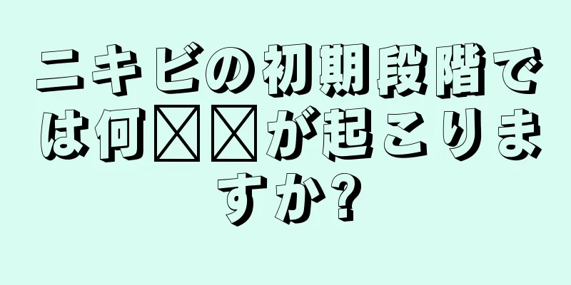 ニキビの初期段階では何​​が起こりますか?