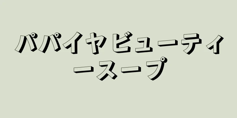 パパイヤビューティースープ