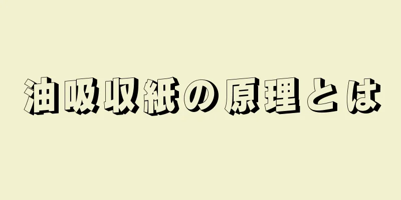 油吸収紙の原理とは