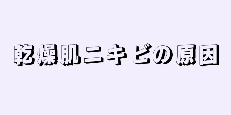 乾燥肌ニキビの原因