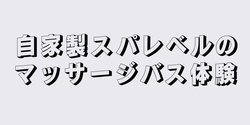 自家製スパレベルのマッサージバス体験