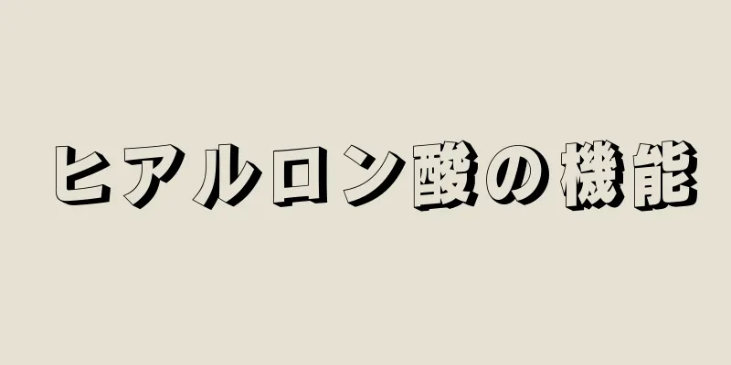 ヒアルロン酸の機能