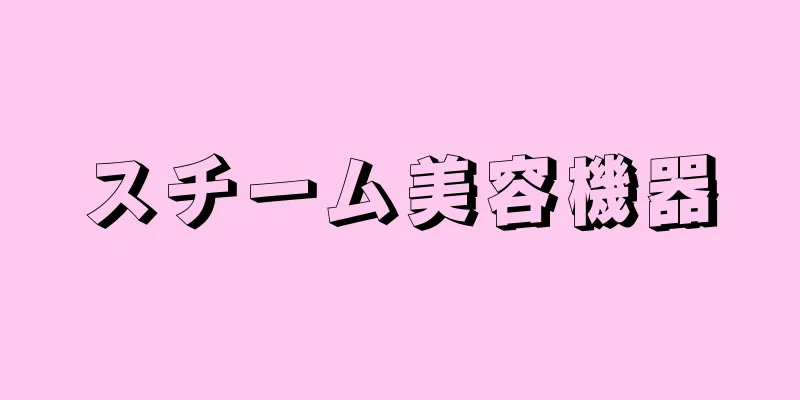 スチーム美容機器