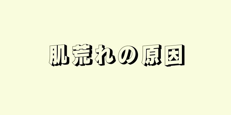 肌荒れの原因