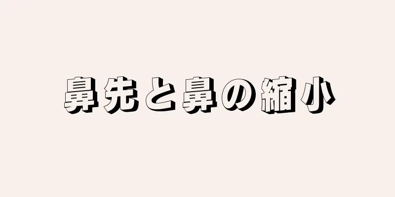 鼻先と鼻の縮小