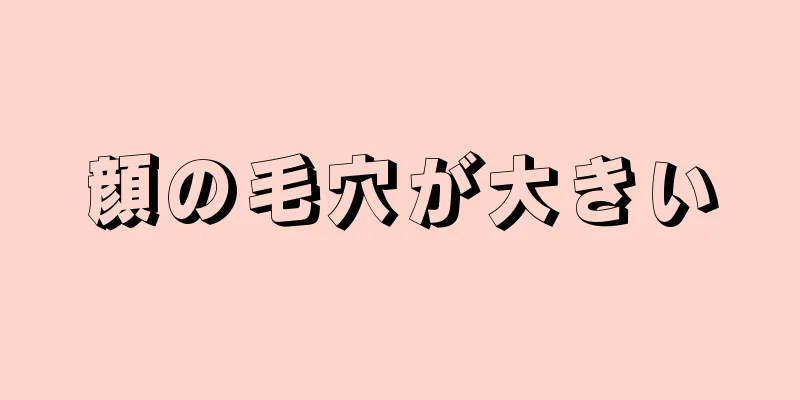 顔の毛穴が大きい
