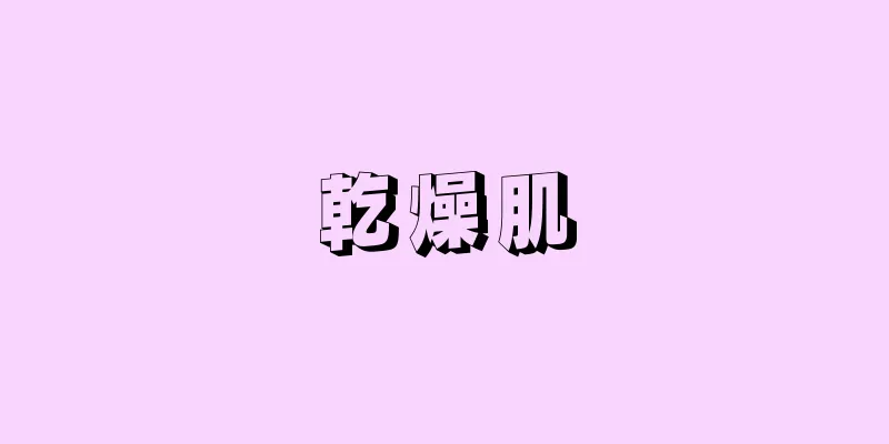 乾燥肌