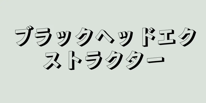 ブラックヘッドエクストラクター