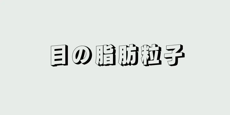 目の脂肪粒子