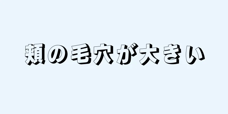 頬の毛穴が大きい
