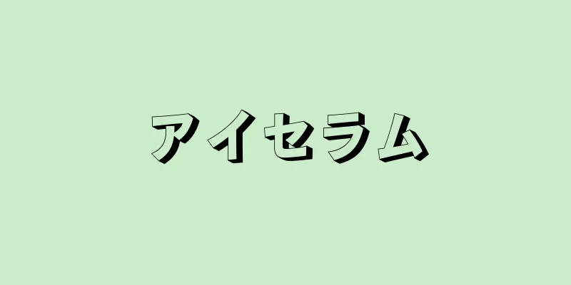 アイセラム