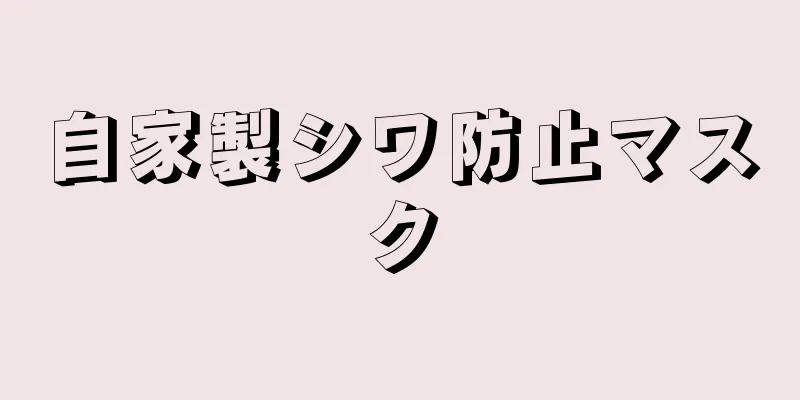 自家製シワ防止マスク