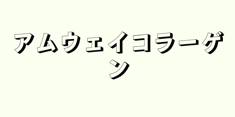 アムウェイコラーゲン