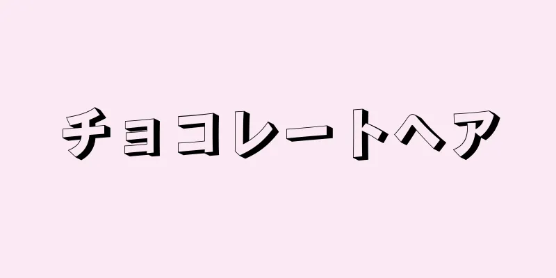 チョコレートヘア